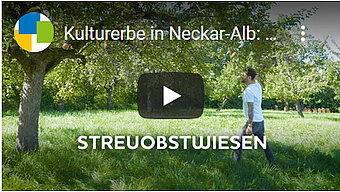 Kulturerbe in Neckar-Alb: Streuobstwiesen