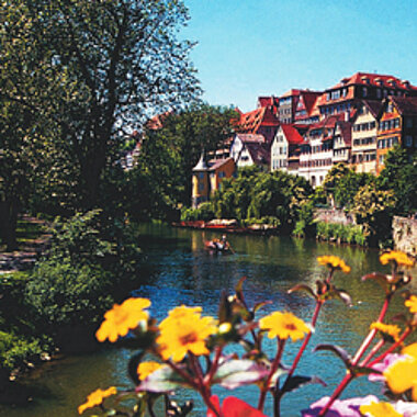 New York – Rio – Tübingen